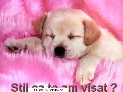 maneaua..DA sau NU..De ce? - Corina.. aia din poza e Oana Zavoran ? :)) :D - #ilfov